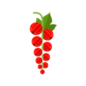 redcurrant-ribizli